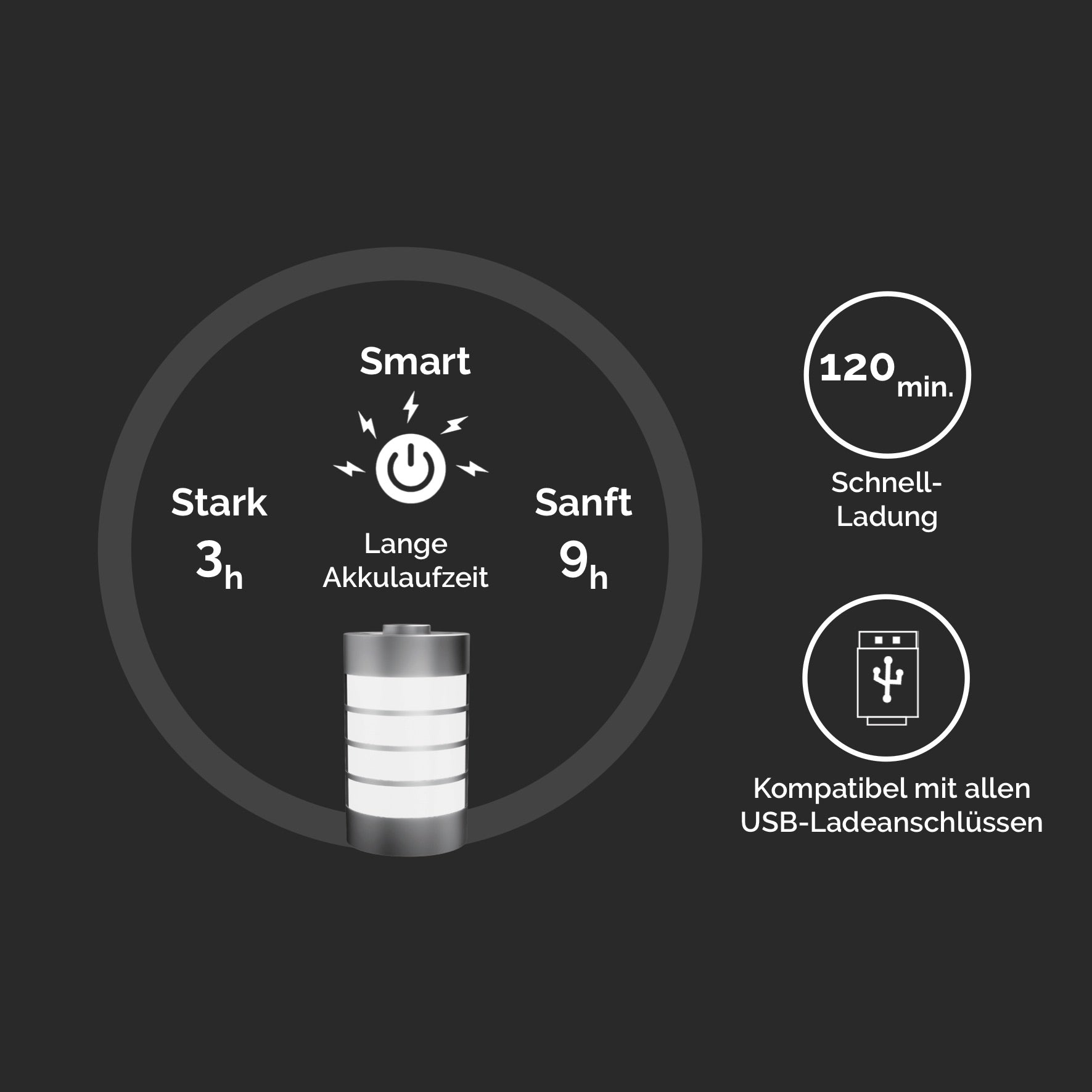 toGo Filter Luftreiniger schwarz-silber mini Single mit 3-in-1 HEPA-13-Filter, Vorfilter und Aktivkohlefilter, entfernt bis zu 99,95 % von Schadstoffen wie Staub, Pollen, Rauch, Viren, Bakterien, Corona, Grippe, ideal für saubere Luft bei Allergie, Allergikern, Asthma, Asthmatikern, für überall, Batterie mit 3 bis 9 Stunden Laufzeit